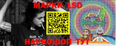 гашик Моздок