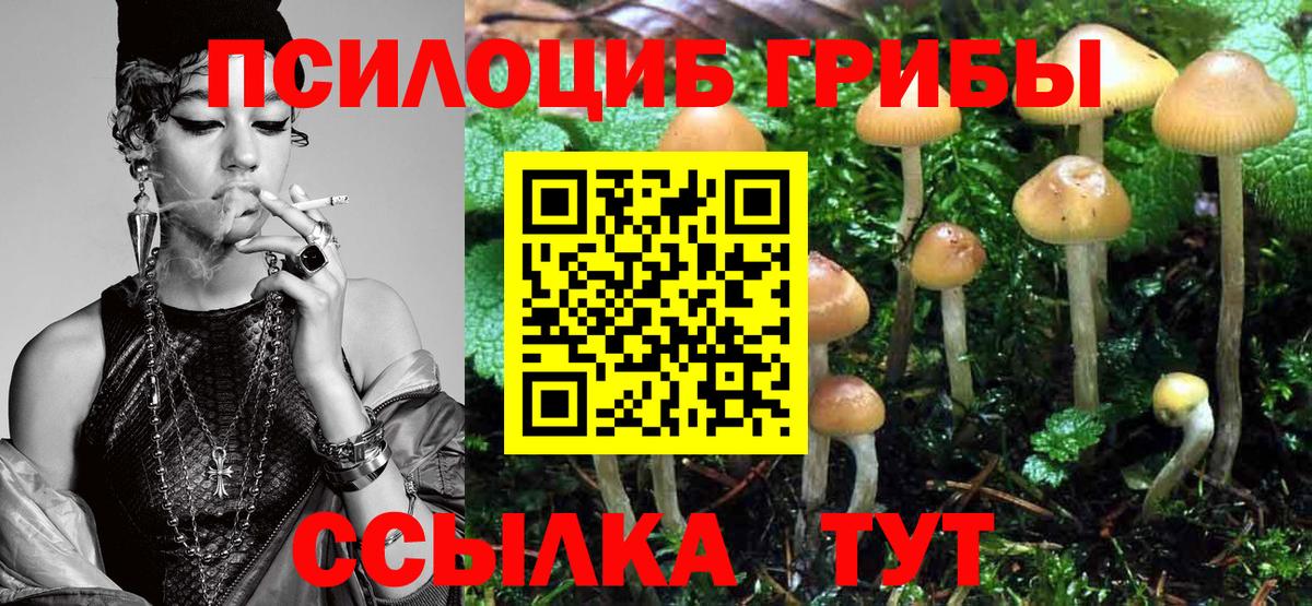 Фрязино  Галлюциногенные грибы Cubensis  Вход с VPN 
